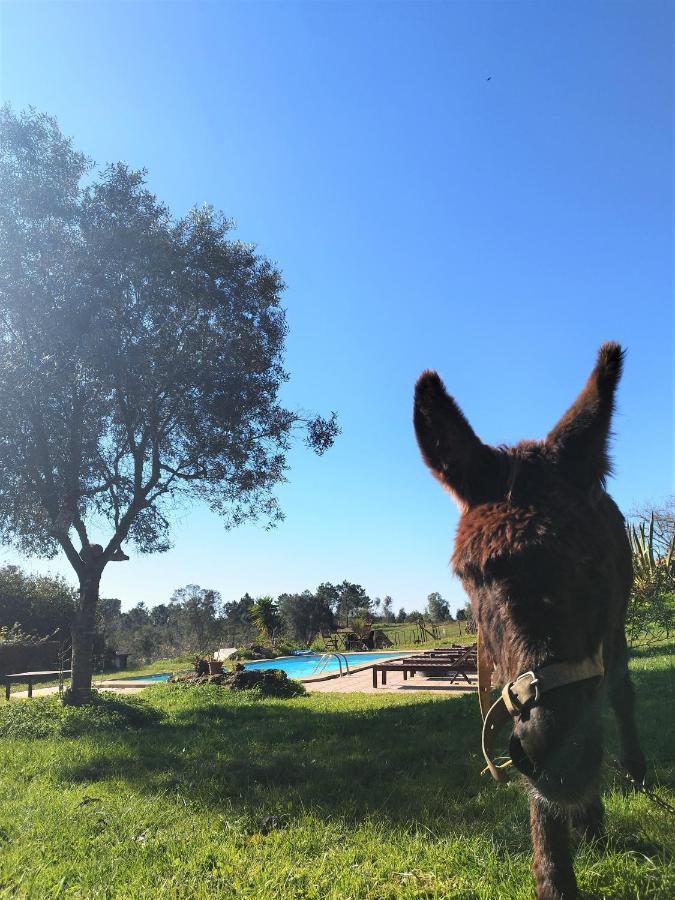 בית הארחה São Teotónio 	Monte Da Choca מראה חיצוני תמונה